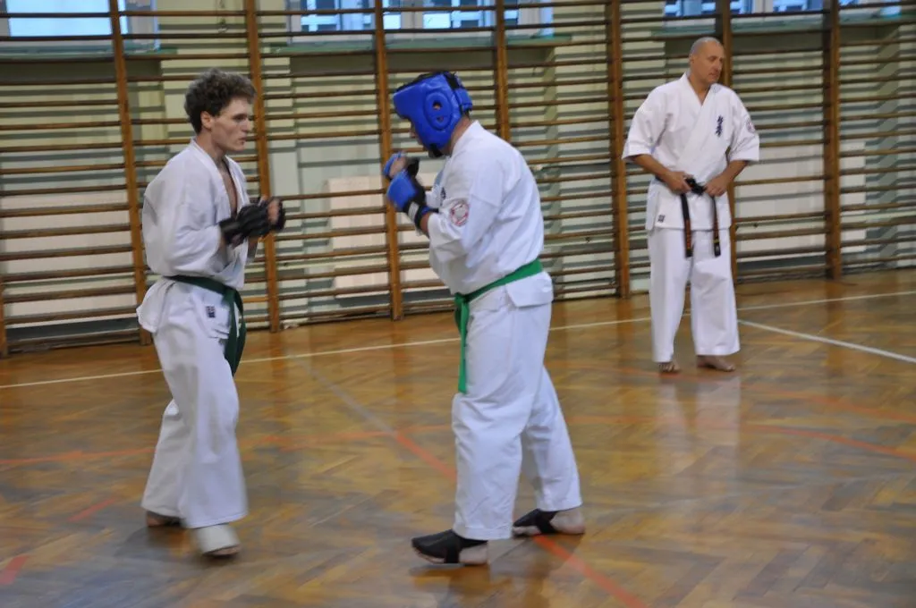 Zdjęcie z wydarzenia „Egzamin na stopnie — kumite, 27.06.2014”