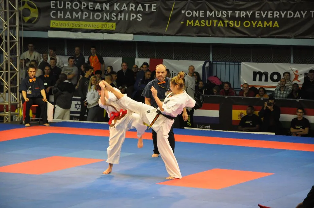 Zdjęcie z wydarzenia „Mistrzostwa Europy karate kyokushin — Sosnowiec 2014”
