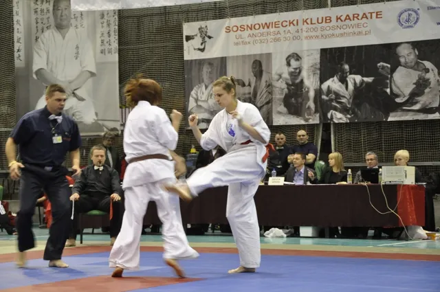 Zdjęcie z wydarzenia „Mistrzostwa Śląska — Sosnowiec 2011”