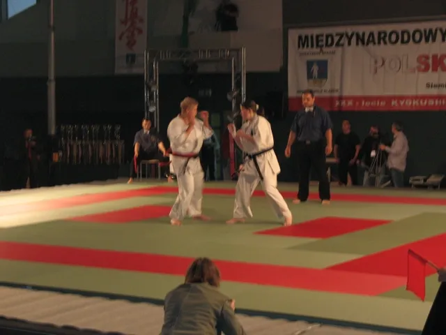 Zdjęcie z wydarzenia „Gala Kyokushin Polska–Francja — Siemianowice 2009”