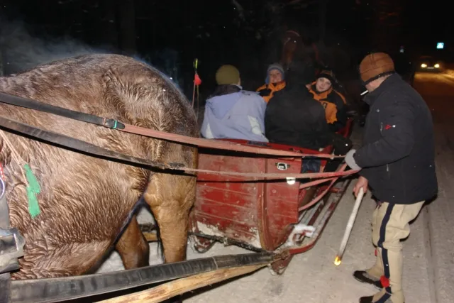 Zdjęcie z obozu „Obóz zimowy — Zakopane 2011”