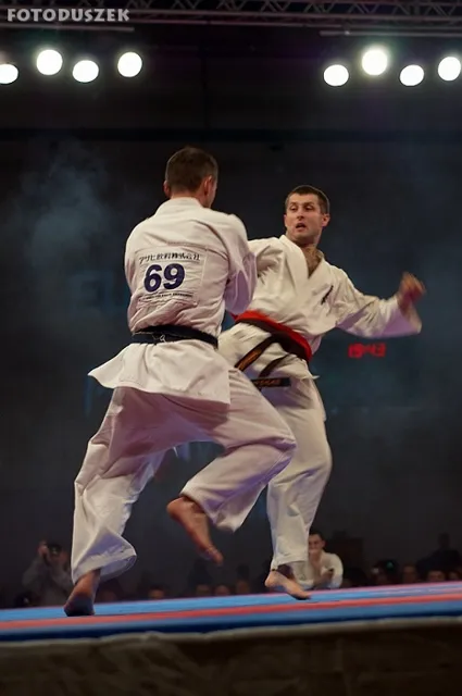 Zdjęcie z wydarzenia „Gala Kyokushin Polska–Europa”
