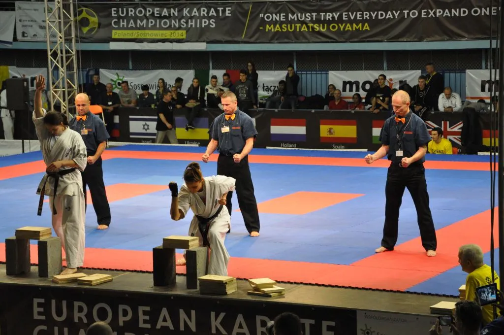 Zdjęcie z wydarzenia „Mistrzostwa Europy karate kyokushin — Sosnowiec 2014”