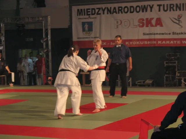 Zdjęcie z wydarzenia „Gala Kyokushin Polska–Francja — Siemianowice 2009”