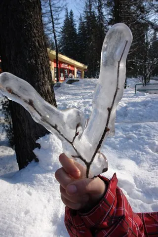 Zdjęcie z obozu „Obóz zimowy — Zakopane 2012”