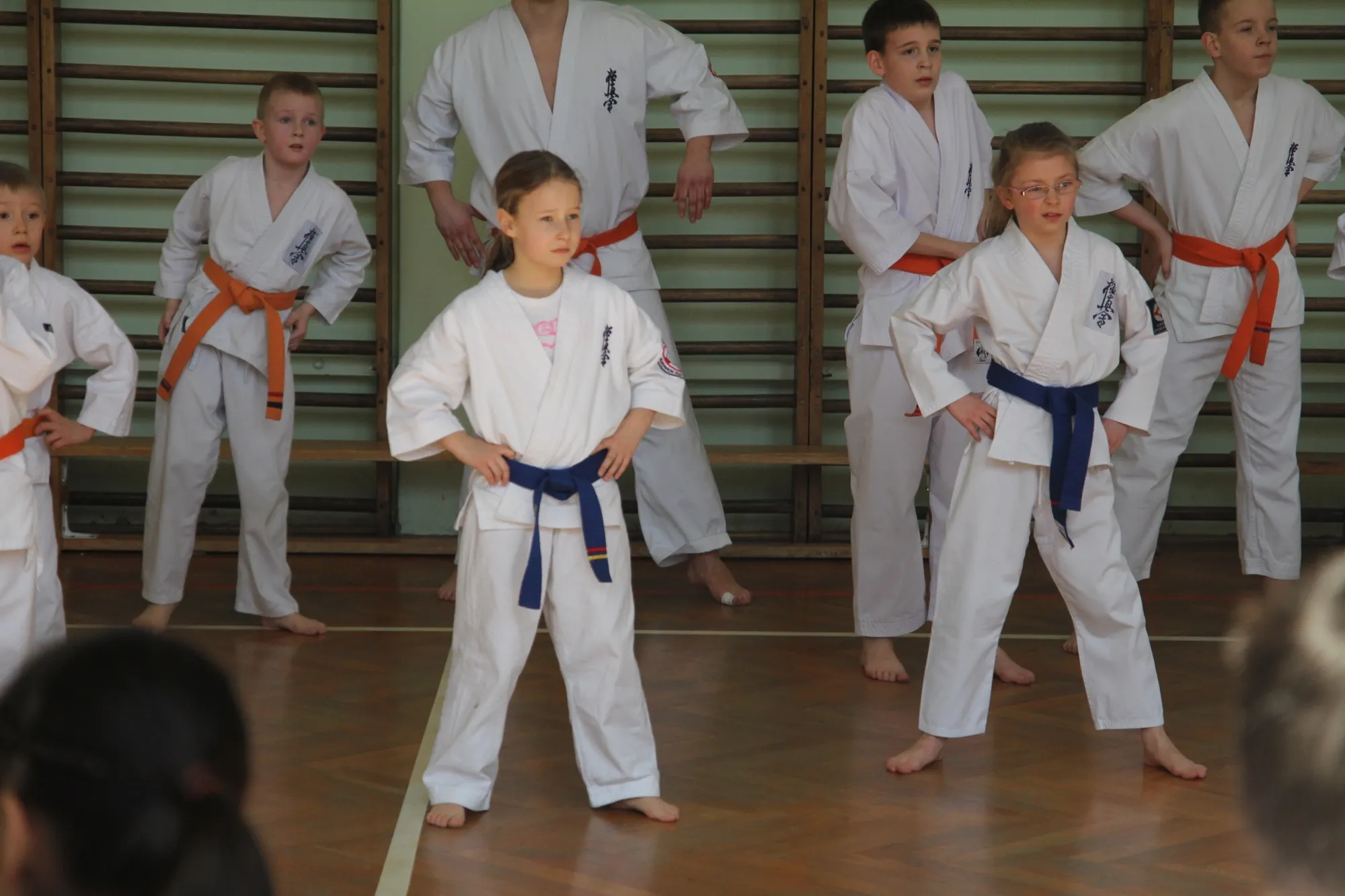 Zdjęcie z wydarzenia „Egzamin na stopnie, 21.03.2013”