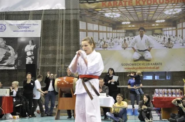 Zdjęcie z wydarzenia „Mistrzostwa Śląska — Sosnowiec 2011”