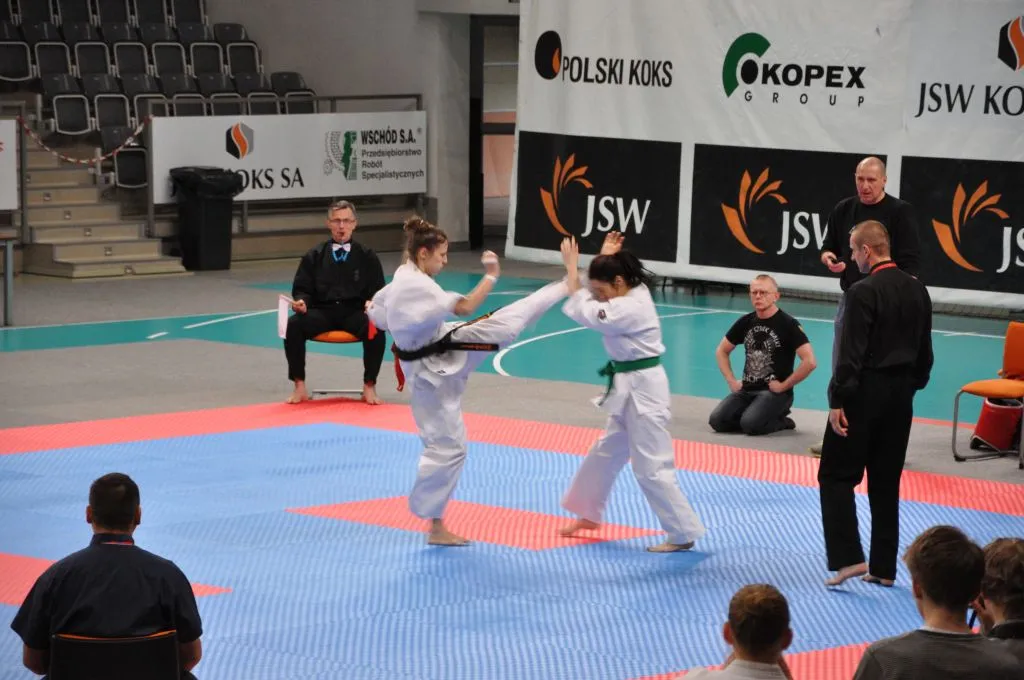 Zdjęcie z wydarzenia „Mistrzostwa Śląska — Jastrzębie-Zdrój 2014”
