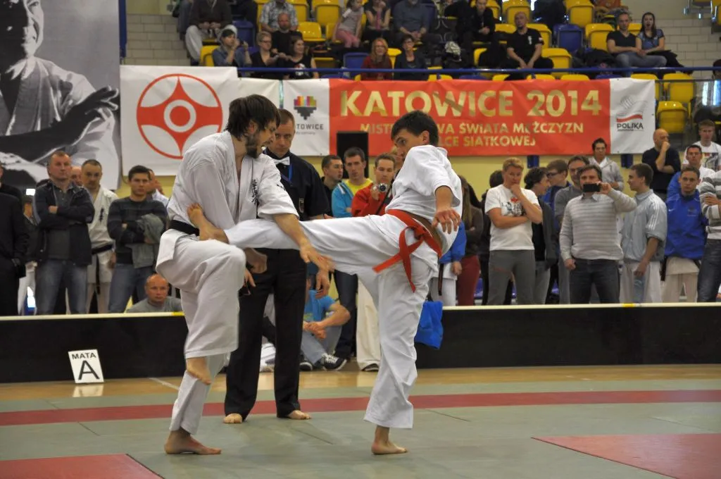 Zdjęcie z wydarzenia „Mistrzostwa Polski — Katowice 2014”