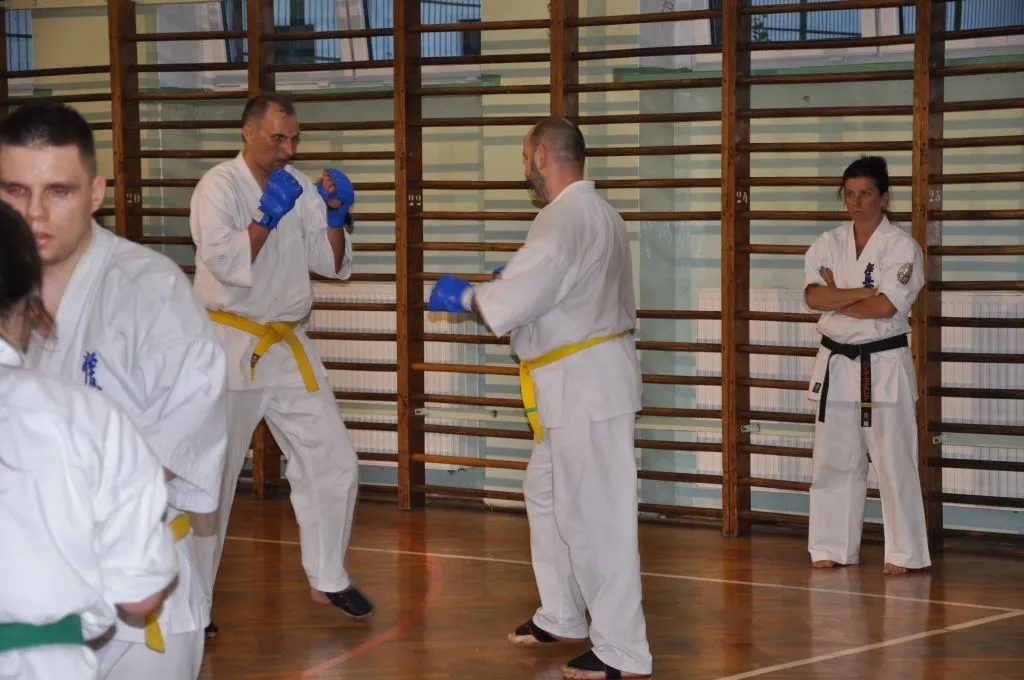 Zdjęcie z wydarzenia „Egzamin na stopnie — kumite, 27.06.2014”