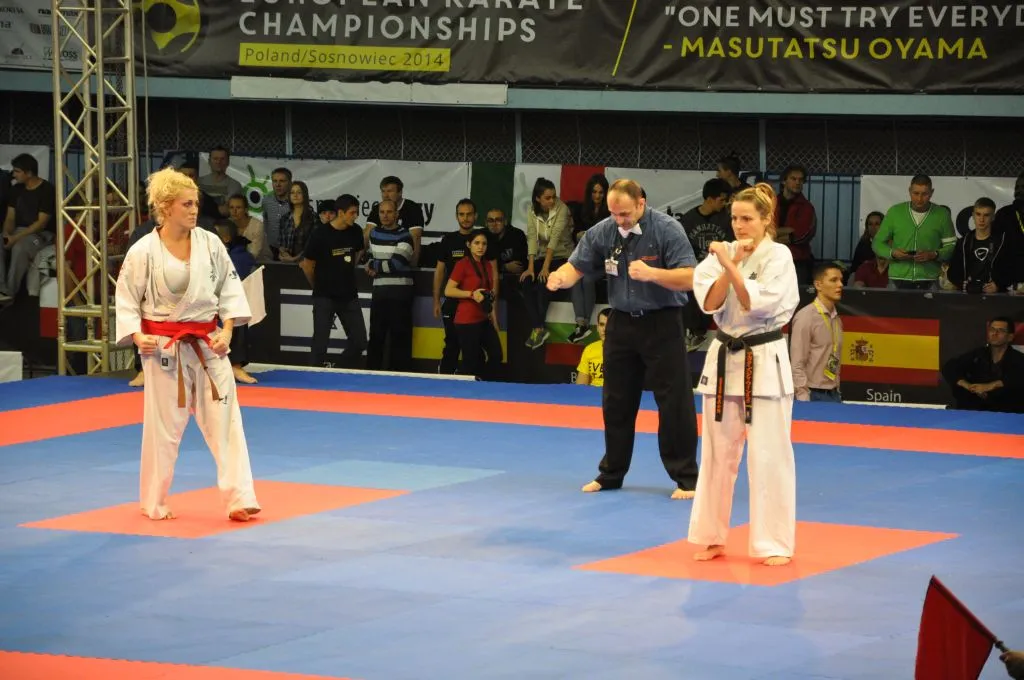 Zdjęcie z wydarzenia „Mistrzostwa Europy karate kyokushin — Sosnowiec 2014”