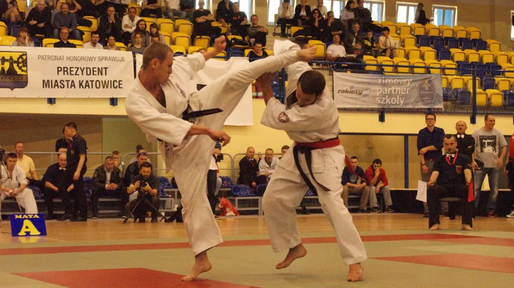 Zdjęcie z wydarzenia „Mistrzostwa Polski — Katowice 2014”