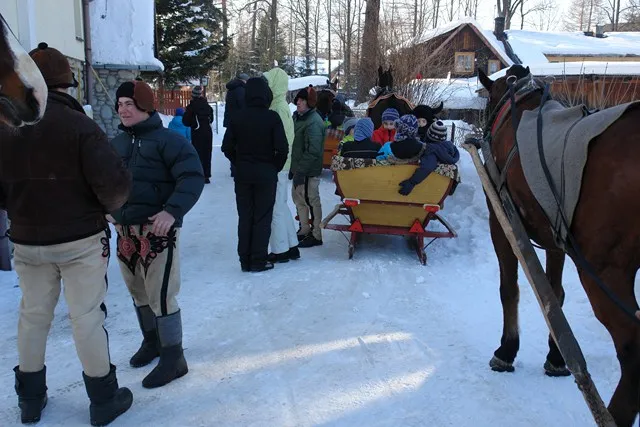 Zdjęcie z obozu „Obóz zimowy — Zakopane 2012”