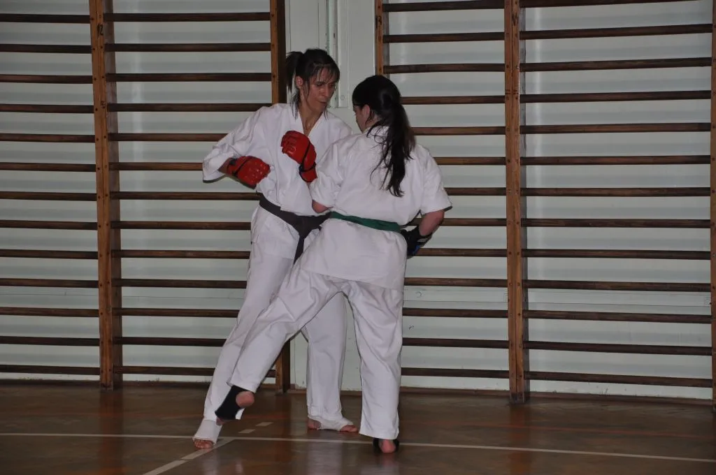 Zdjęcie z wydarzenia „Egzamin na stopnie — kumite, 27.06.2014”